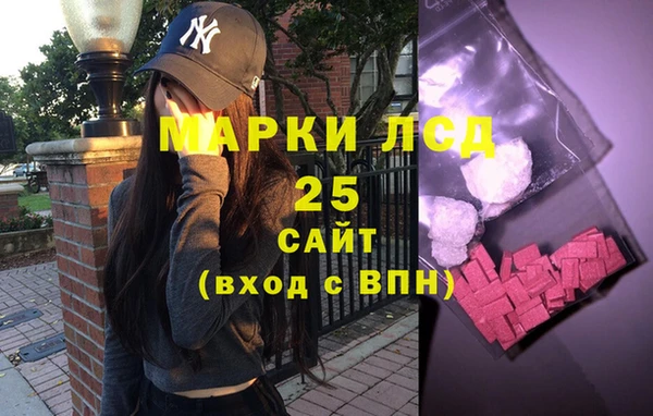 прущие грибы Верея