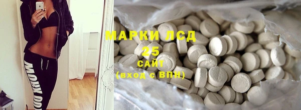 прущие грибы Верея