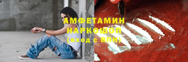 прущие грибы Верея