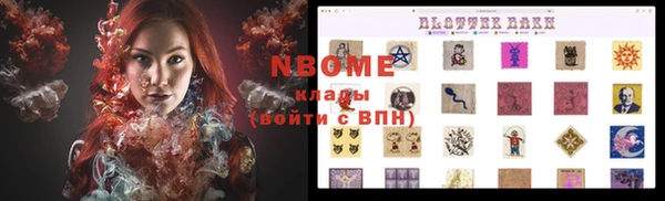 прущие грибы Верея