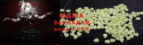 прущие грибы Верея