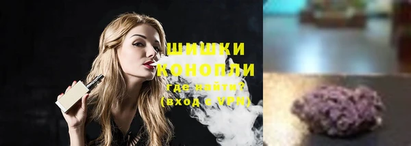 прущие грибы Верея