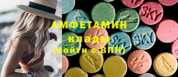 индика Волосово