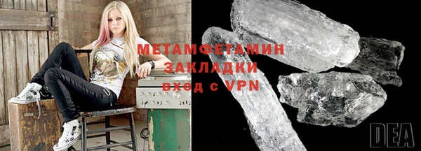 прущие грибы Верея