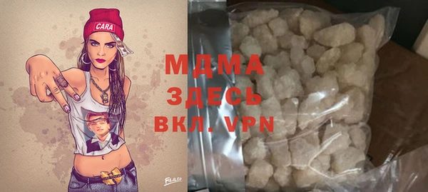 прущие грибы Верея