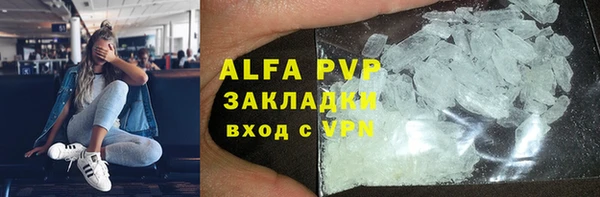 прущие грибы Верея