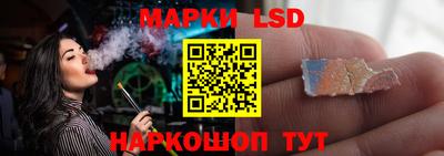 сатива Будённовск